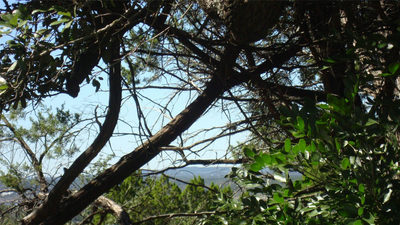 20804 Bonanza St — photo 3