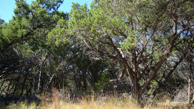 20804 Bonanza St — photo 5