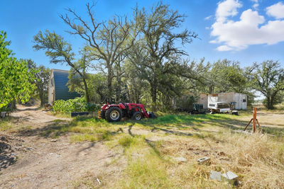 201 Deer Springs Loop — photo 4