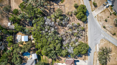 401 Cargill Dr — photo 3