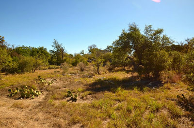 29031 Paiute St — photo 5