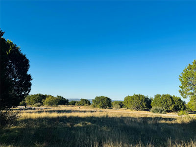 22051 Long Shot — photo 4
