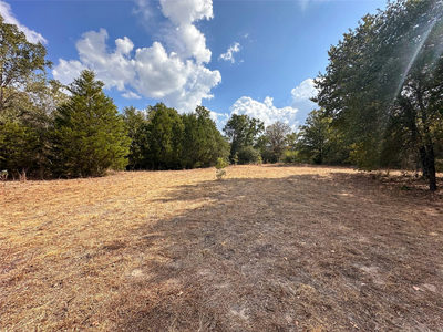 TBD Walter Hoffman Rd — photo 2