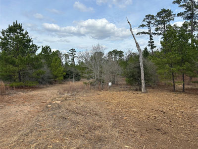 187 K C Dr — photo 4