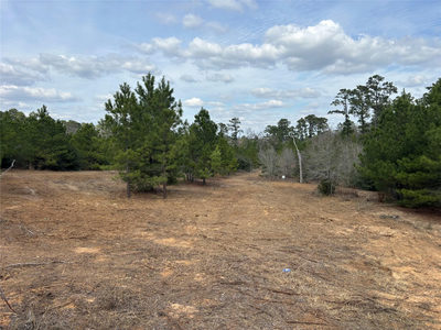187 K C Dr — photo 2