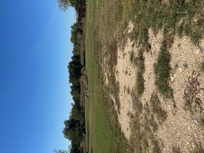 1715 CR 251 County Road 251 Rds — photo 4