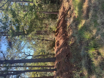 Lot 97 Kaelepulu Dr — photo 2