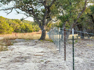 100 acres N Cranes Mill North Rd — photo 4