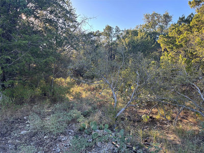 Lot K4106 Coon Ct — photo 3