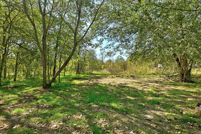 2100 Whirlaway Dr — photo 4