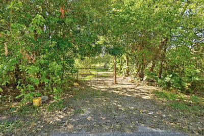 2100 Whirlaway Dr — photo 2