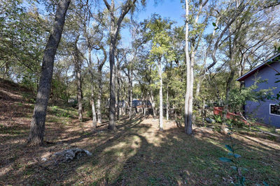 506 Quail Creek Dr — photo 5