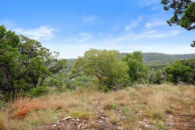 18211 Gregg Bluff Rd — photo 2