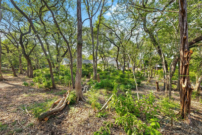 4101 Spicewood Springs Rd — photo 5