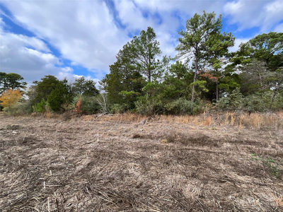 120 Shore Front Dr — photo 4
