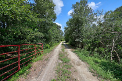 326 The Forest Rd — photo 2