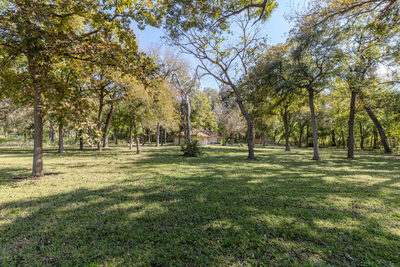 75 County Road 129 — photo 5