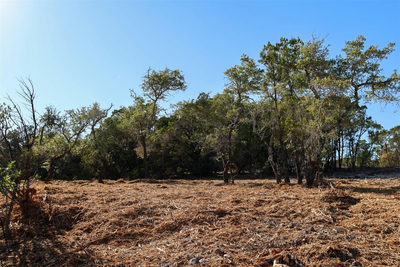 3101 - 4 Longhorn Trl Trl — photo 3