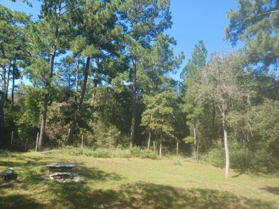 172 Pine Canyon Dr — photo 5