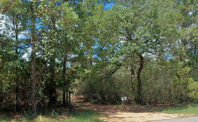 172 Pine Canyon Dr — photo 3