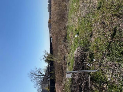 420 Arrowhead Cv — photo 3