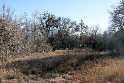 100 Track Road Hwy — photo 4