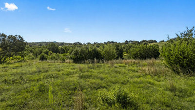 386 Appaloosa Run — photo 5