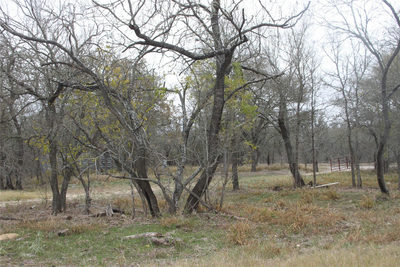 3816 FM 1854 — photo 3