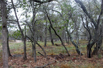 3816 FM 1854 — photo 5