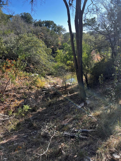 26809 Blue Cove Road Blue Cove Rd — photo 4
