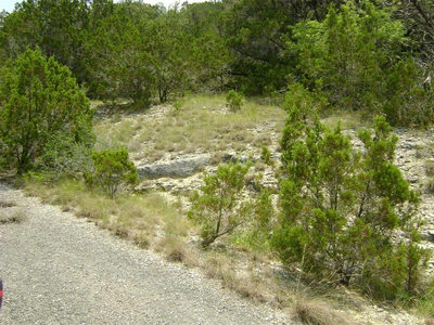 21207 Westward Ho Trl — photo 4