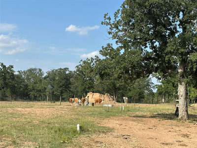 10096 S Us Highway 183 Hwy — photo 3