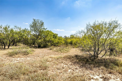 TBD Lot 2 Track Rd — photo 4