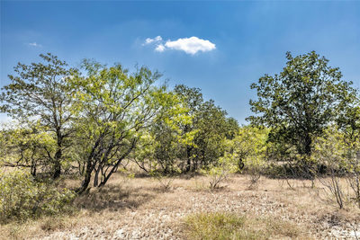 TBD Lot 2 Track Rd — photo 5
