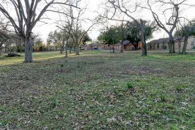 Lot 1 E Alamo St — photo 3