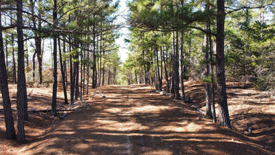 0 Pine Lodge Drive Lot 26 — photo 5