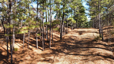 0 Pine Lodge Drive Lot 26 — photo 2