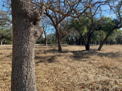 304 Lightning Ranch Pt — photo 3