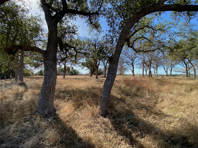304 Lightning Ranch Pt — photo 2