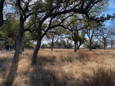 304 Lightning Ranch Pt — photo 5
