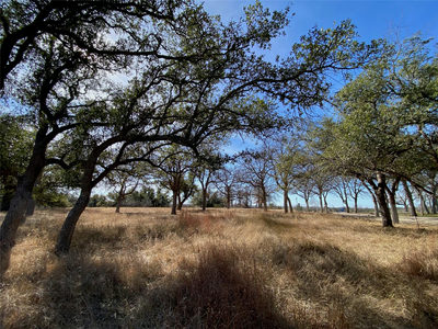 304 Lightning Ranch Pt — photo 4