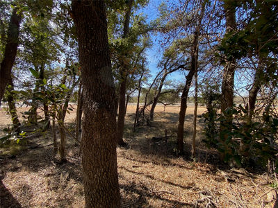 101 Fayt Ct — photo 4