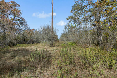 970 Bugtussle Ln — photo 4