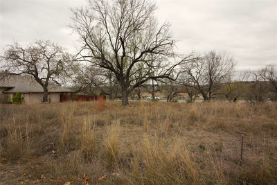 207 Big Spur — photo 3
