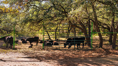 25711 Hamilton Pool Rd — photo 2