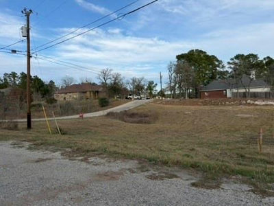 Lot 1574 Pahoiki Ln — photo 5