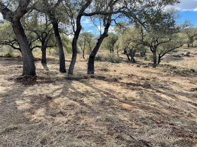 Lot 33 & Lot 34 Prince Peak St — photo 4