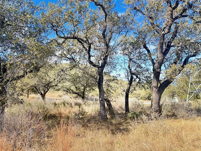 Lot 33 & Lot 34 Prince Peak St — photo 5