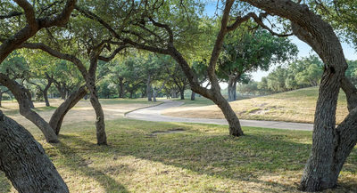 2504 Countryside Cir — photo 5