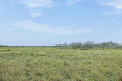 Lot 1 FM 86 — photo 3